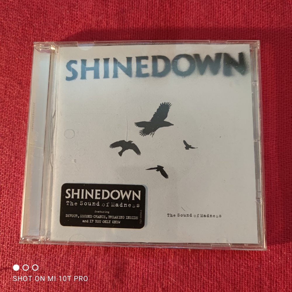 Shinedown - Sound of Madness
