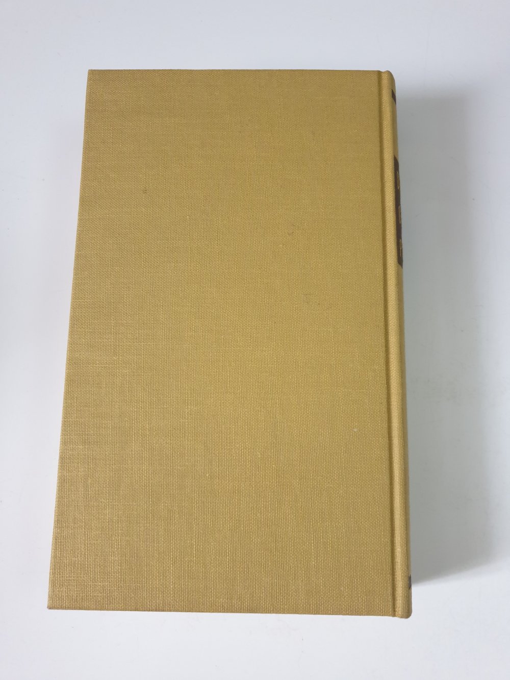 Das grosse Pilzbuch - Julius Peter