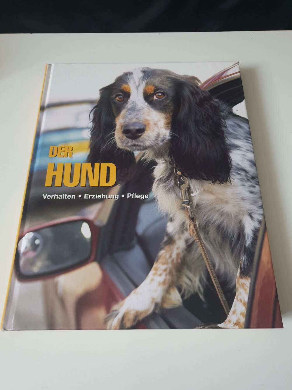 Der Hund - Erica Peachey