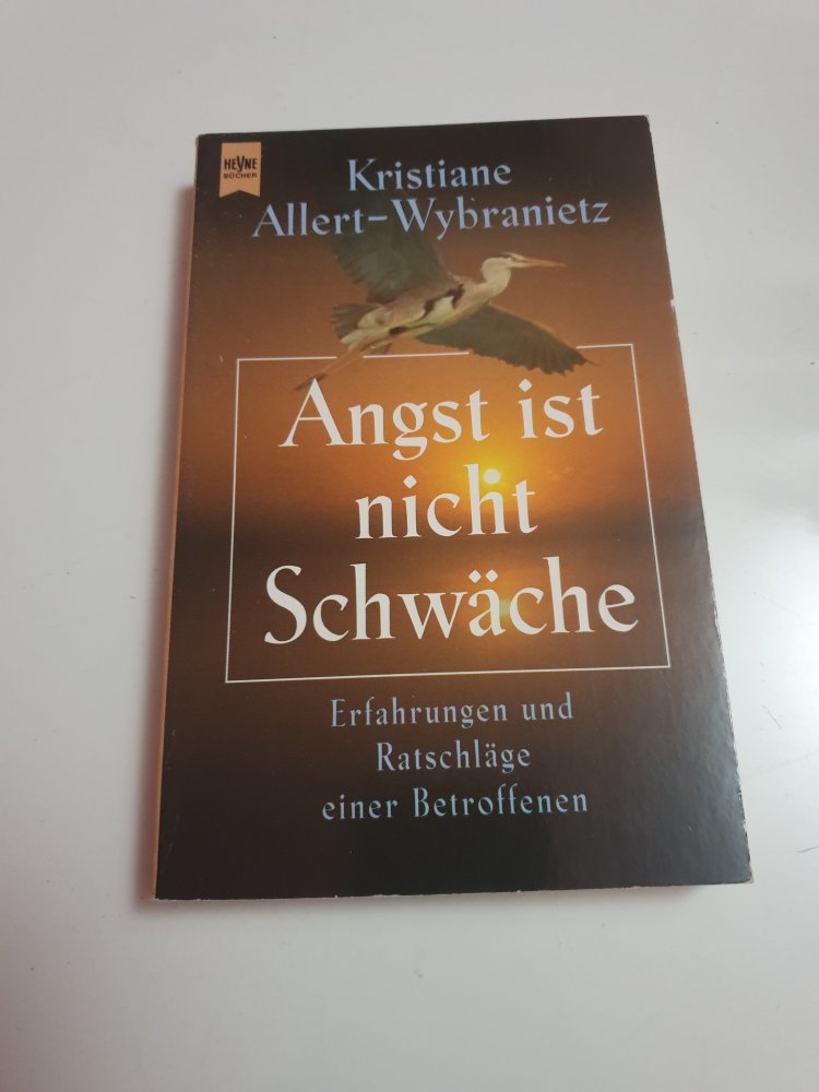 Angst ist nicht Schwäche - Kristiane Allert-Wybranietz