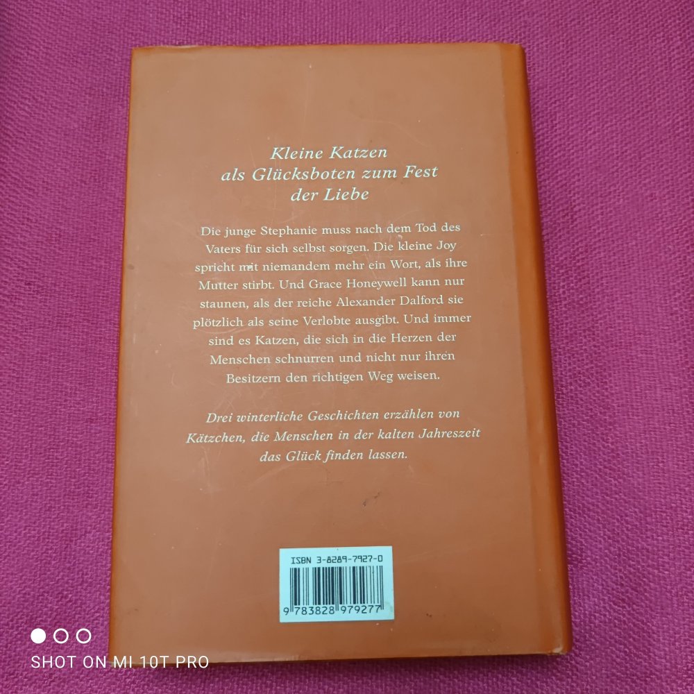 Samtpfoten im Schnee 