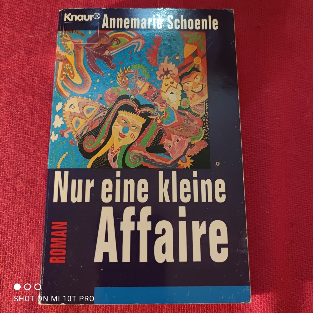 Nur eine kleine Affäre - Annemarie Schoenle