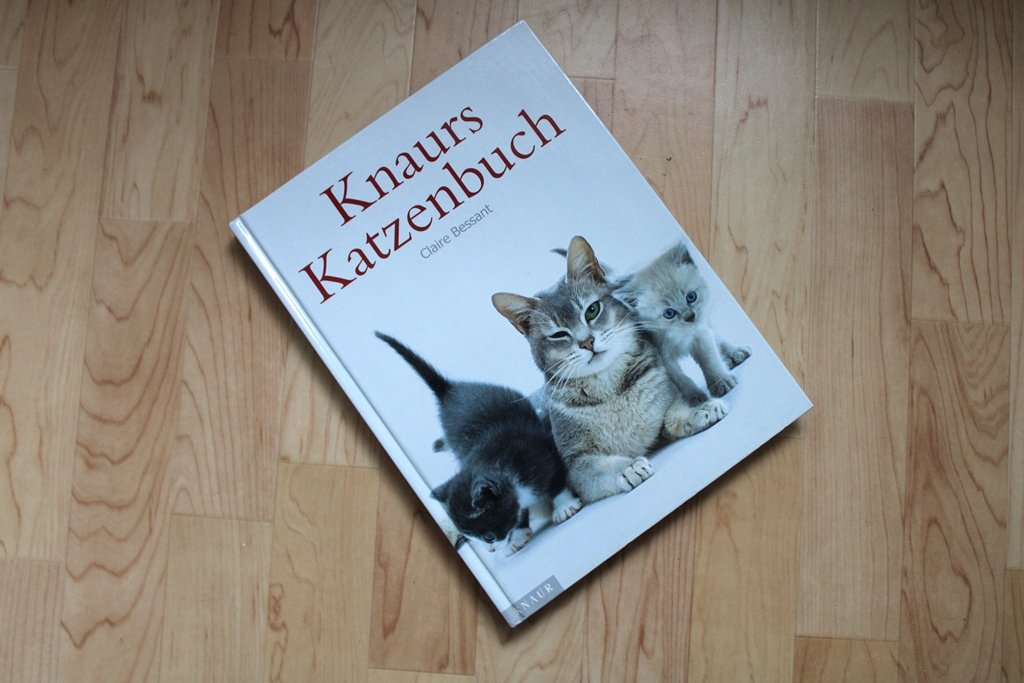 Knaurs Katzenbuch. Claire Bessant.