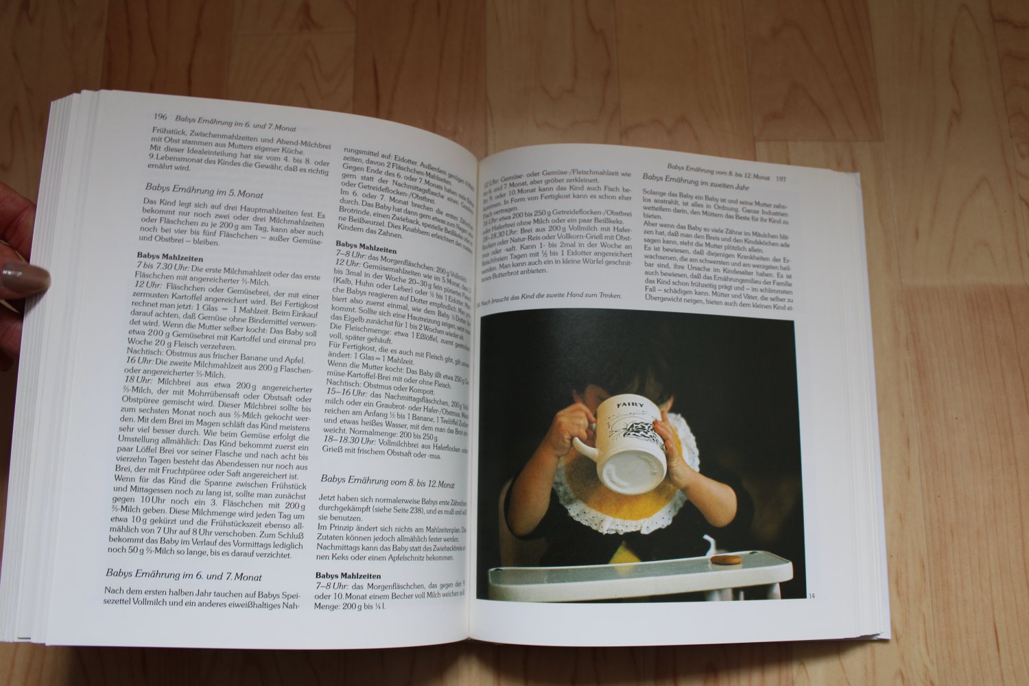 Knaurs Großes Babybuch. Sybil Gräfin Schönfeldt