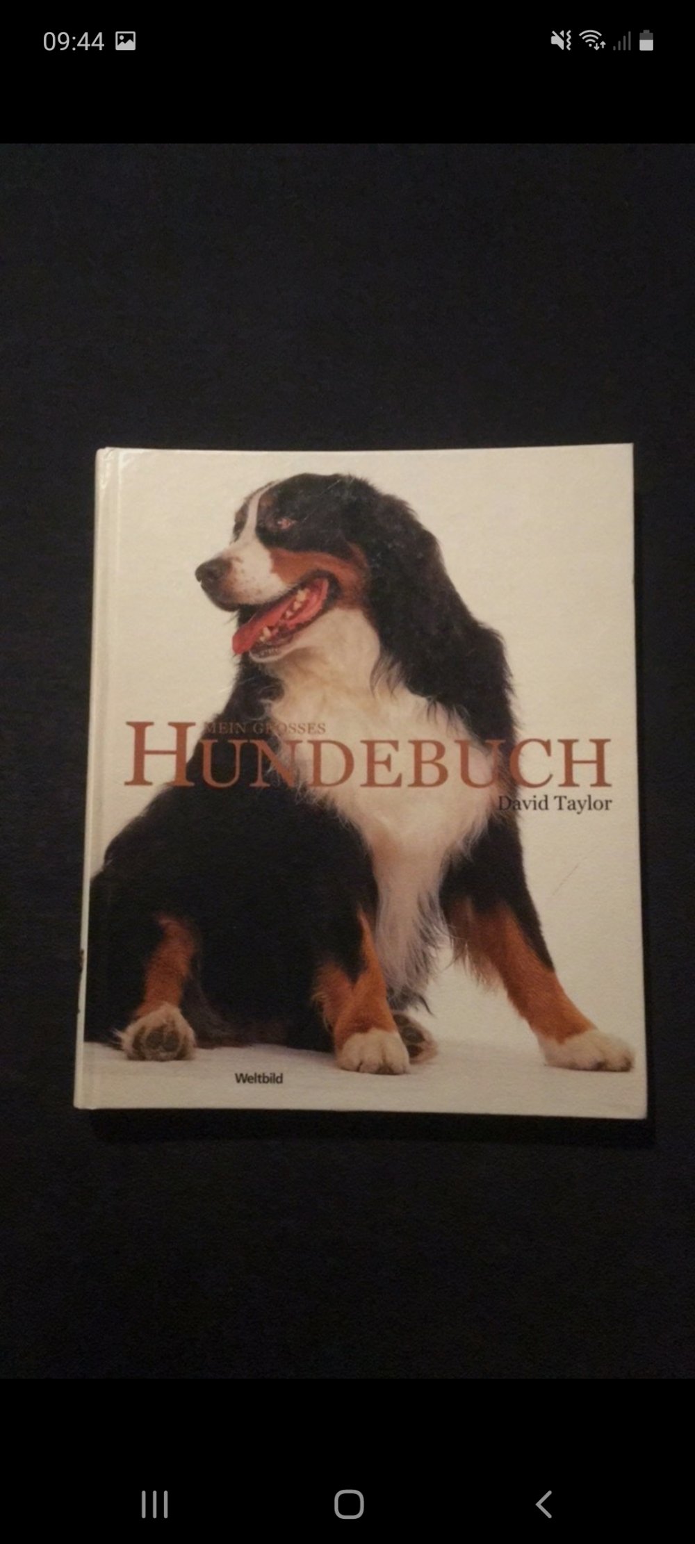 Ein Buch über Hunde 