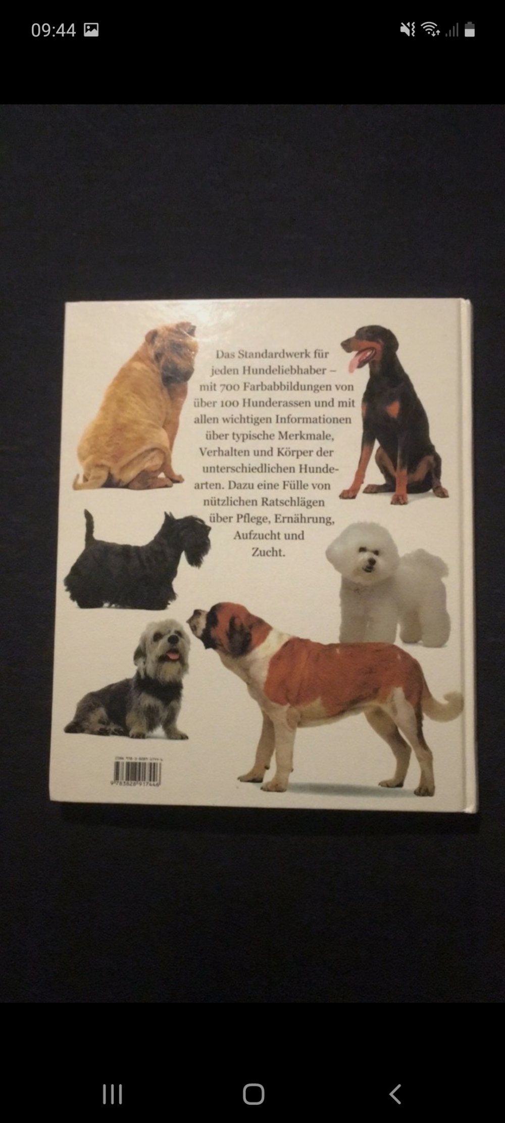 Ein Buch über Hunde 