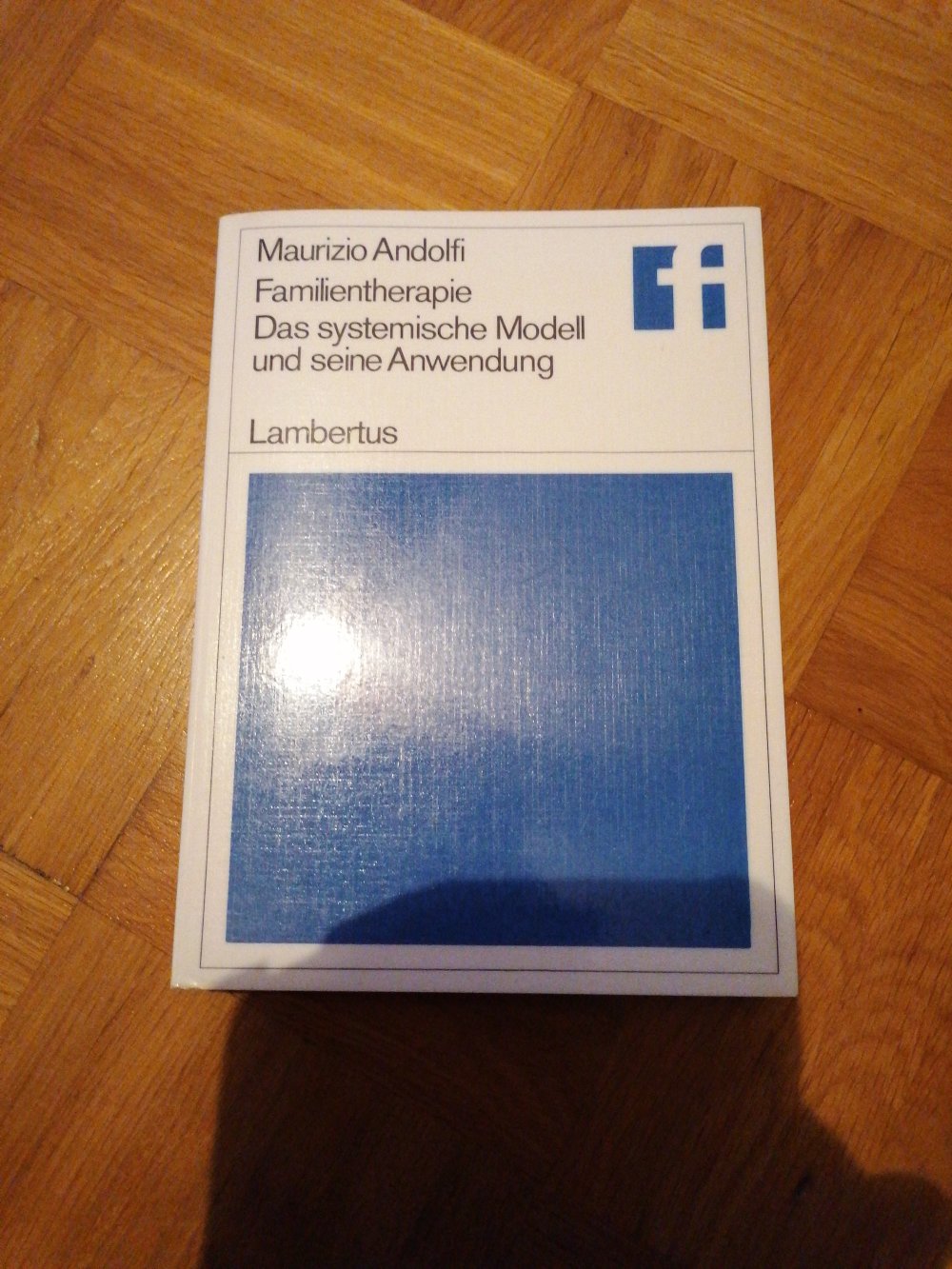 Familientherapie das systemische Modell und seine Anwendung