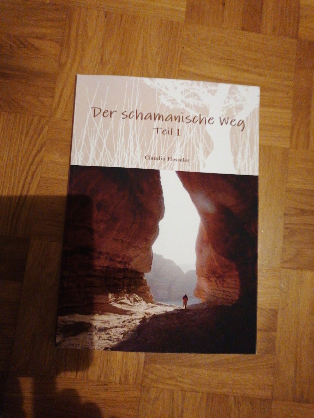 Der schamanische Weg Teil 1