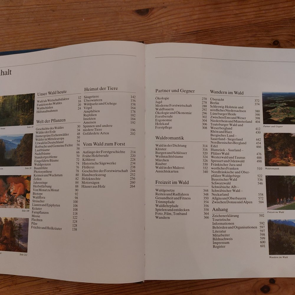 Der große Natur- und Freizeitführer durch die deutschen Wälder
