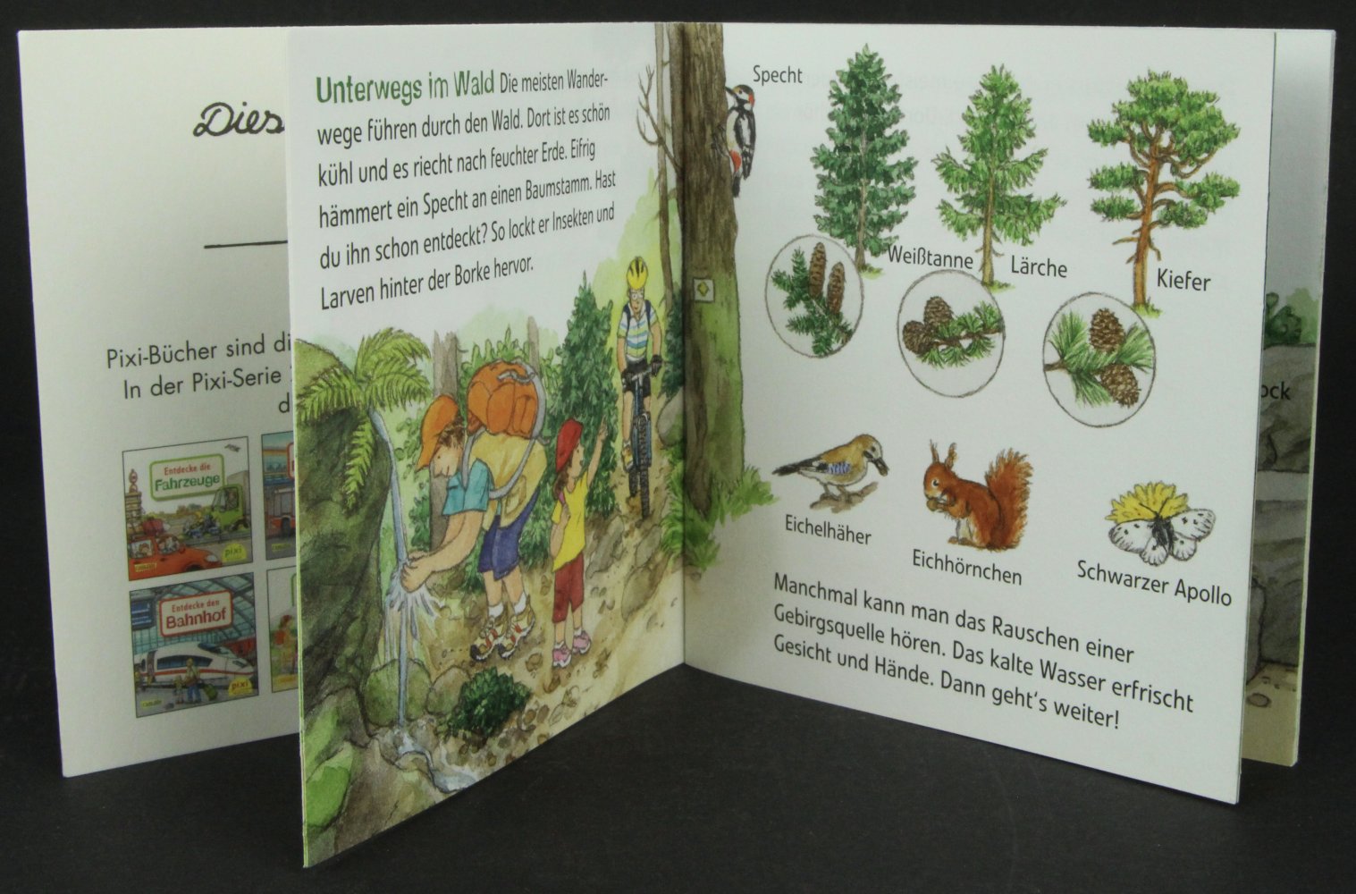 Pixi-Buch Entdecke die Berge Kinderbuch klein Buch Kind Baby Pixi Berg Vorlesen