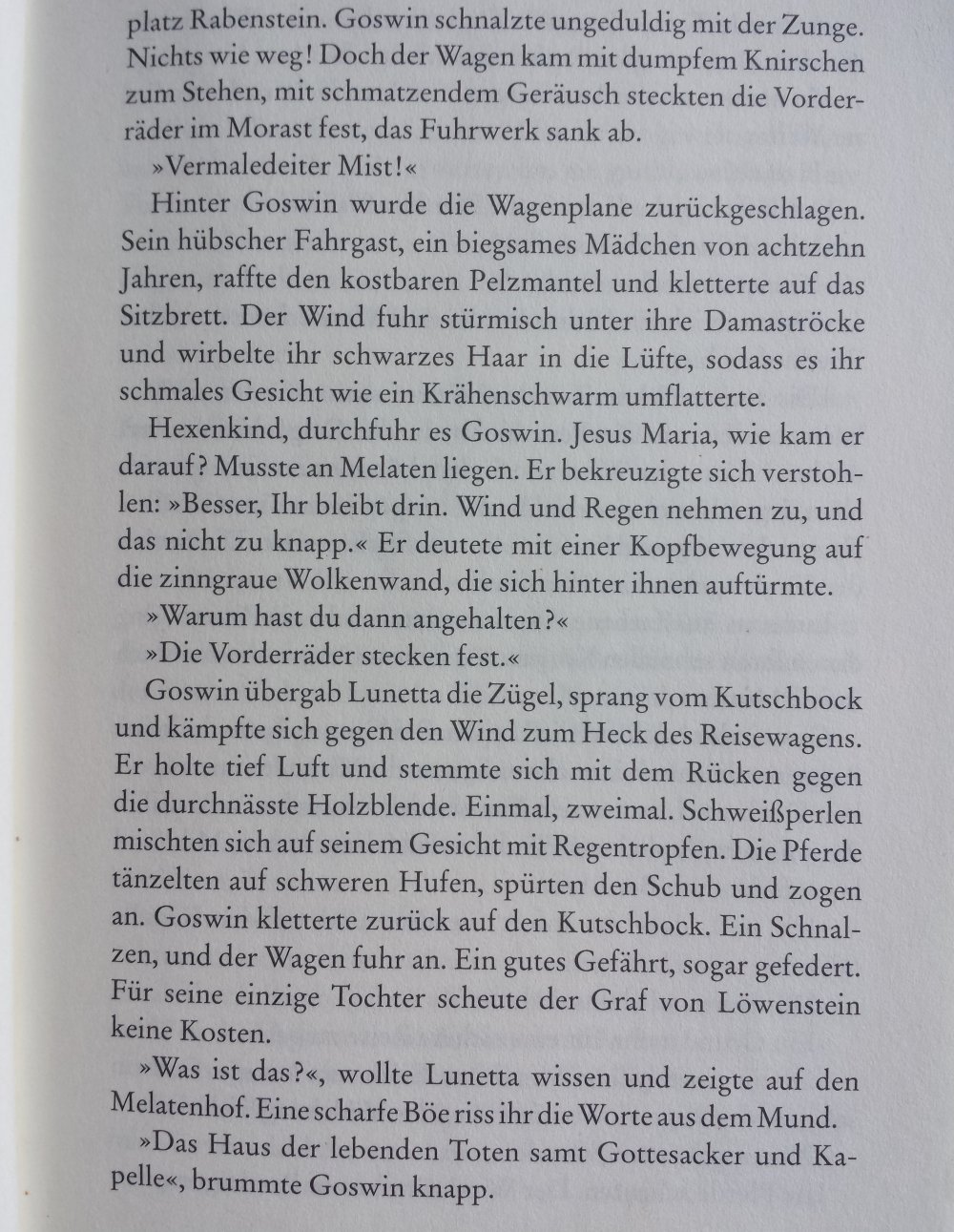 Taschenbuch Buch Das Geheimnis der Tarotspielerin Historischer Roman