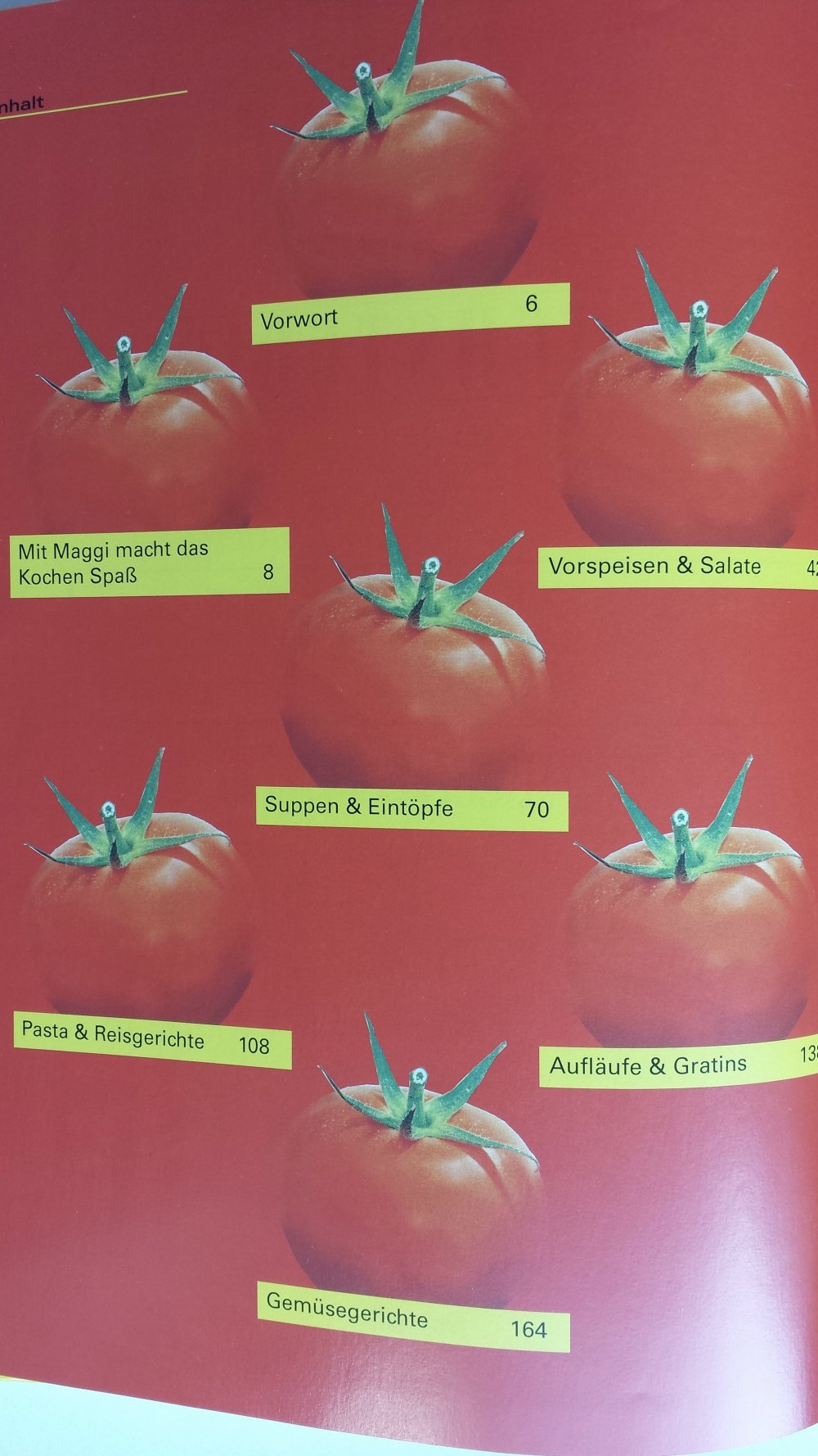 Kochbuch Maggi Kochstudio viele Bilder Rezeptbuch Dessert Reis Buch Kochen Rezepte