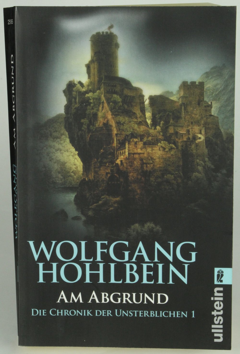 Taschenbuch Buch Roman Am Abgrund Wolfgang Hohlbein Krimi Thriller chronik