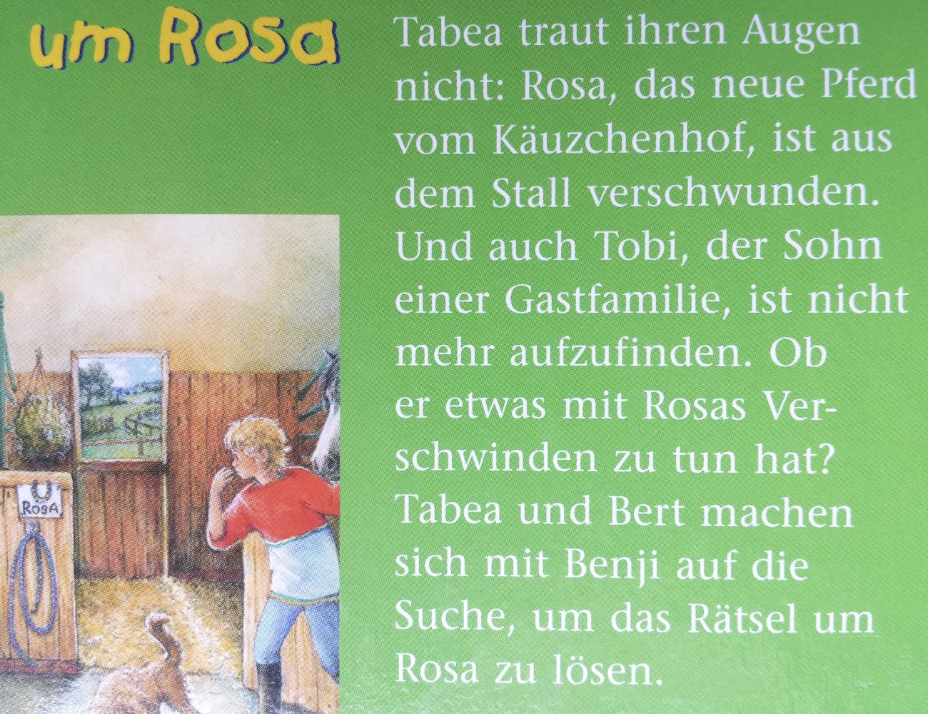 Kinderbuch Buch Kind Kinder Die Ponys vom Käutzchenhof Rätsel um Rosa Pferdebuch Pferd Pony