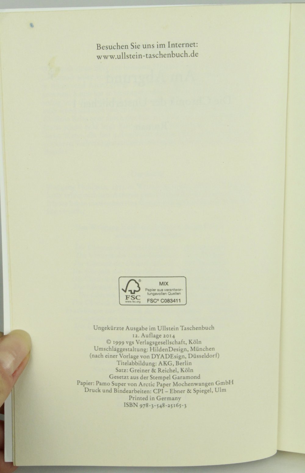 Taschenbuch Buch Roman Am Abgrund Wolfgang Hohlbein Krimi Thriller chronik