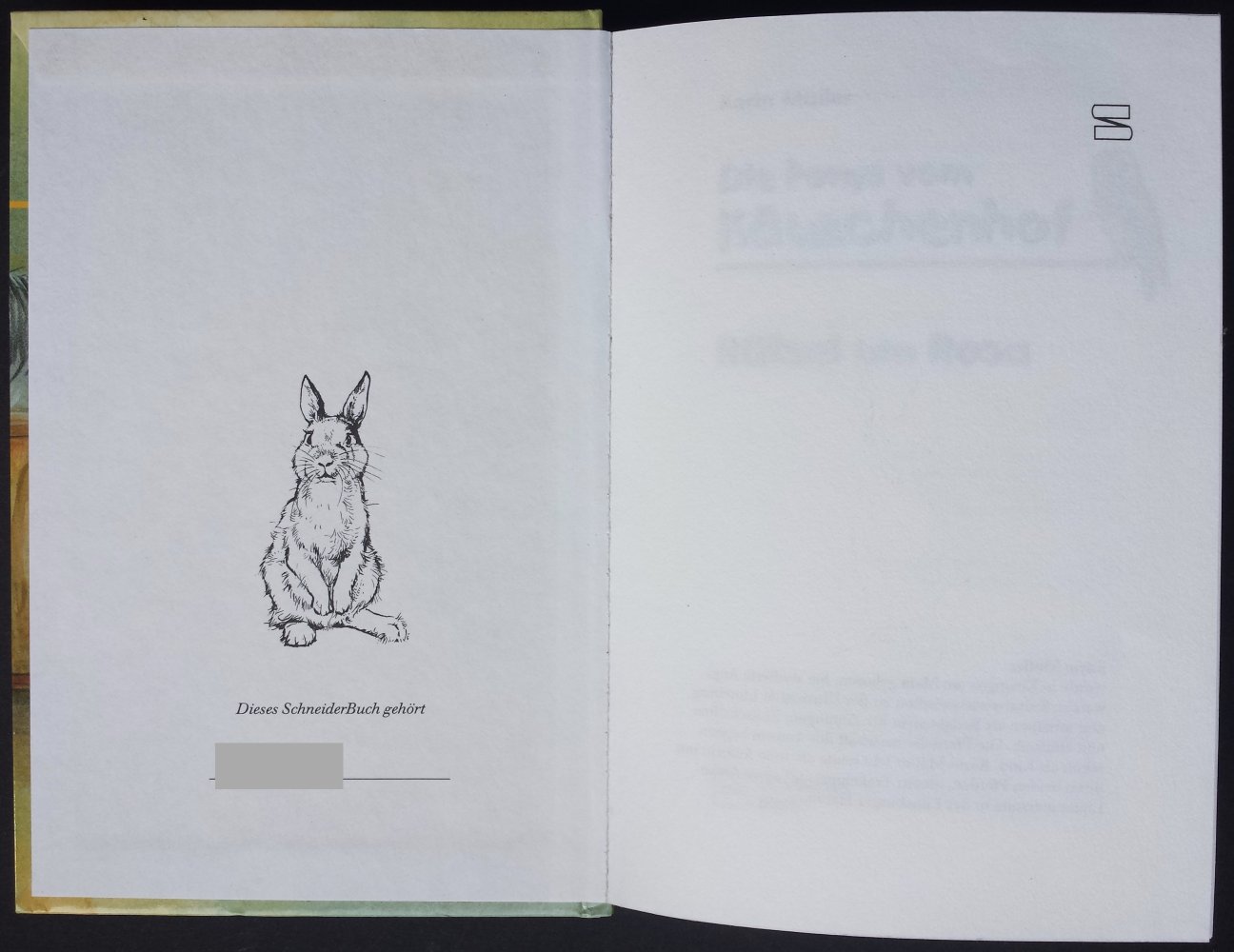 Kinderbuch Buch Kind Kinder Die Ponys vom Käutzchenhof Rätsel um Rosa Pferdebuch Pferd Pony