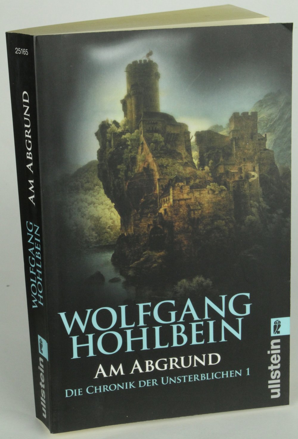 Taschenbuch Buch Roman Am Abgrund Wolfgang Hohlbein Krimi Thriller chronik