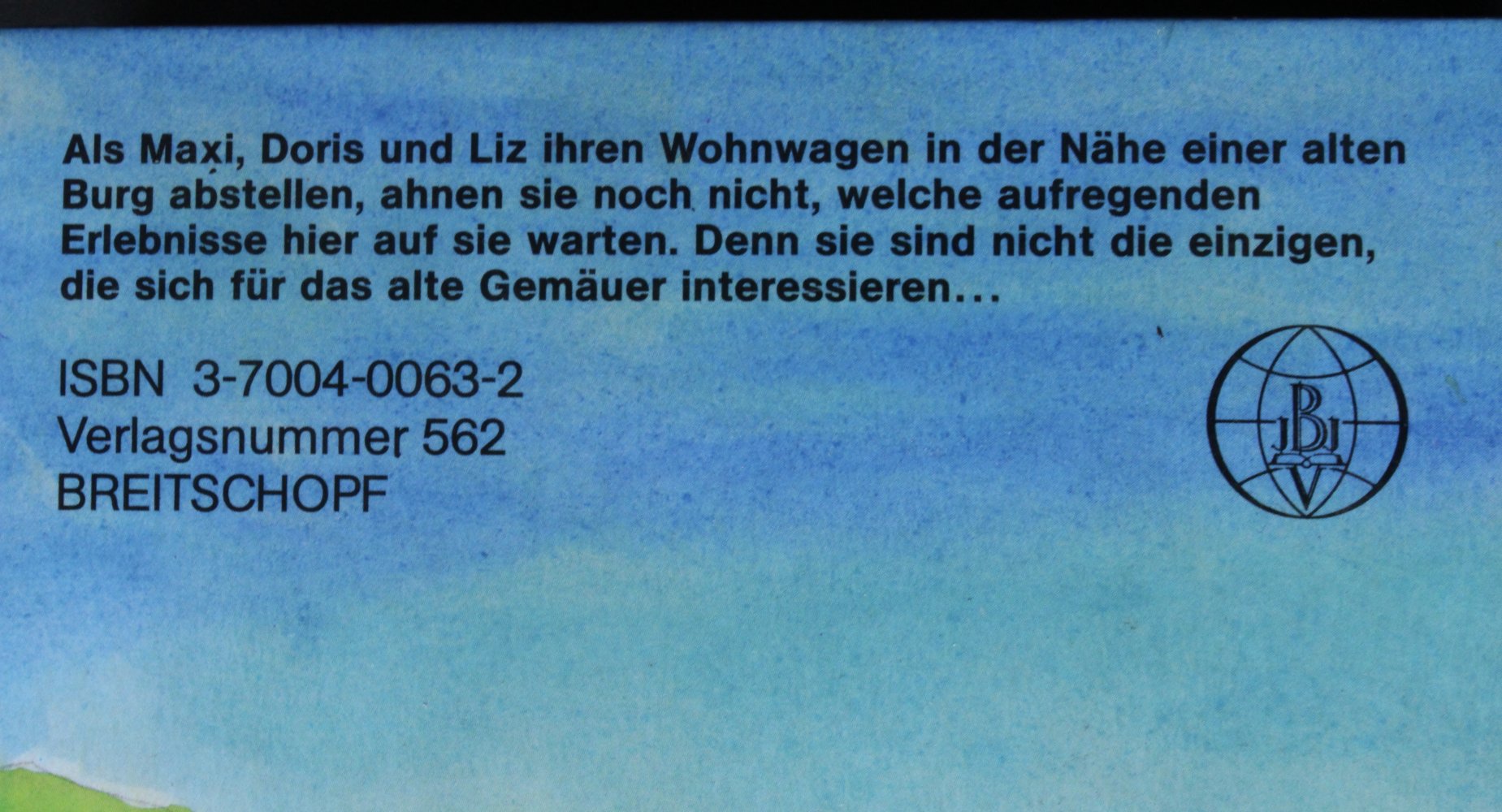 Jugendroman Dem Geheimnis auf der Spur Jugendbuch Breitschopf Jungend Roman Buch gebundene Ausgabe