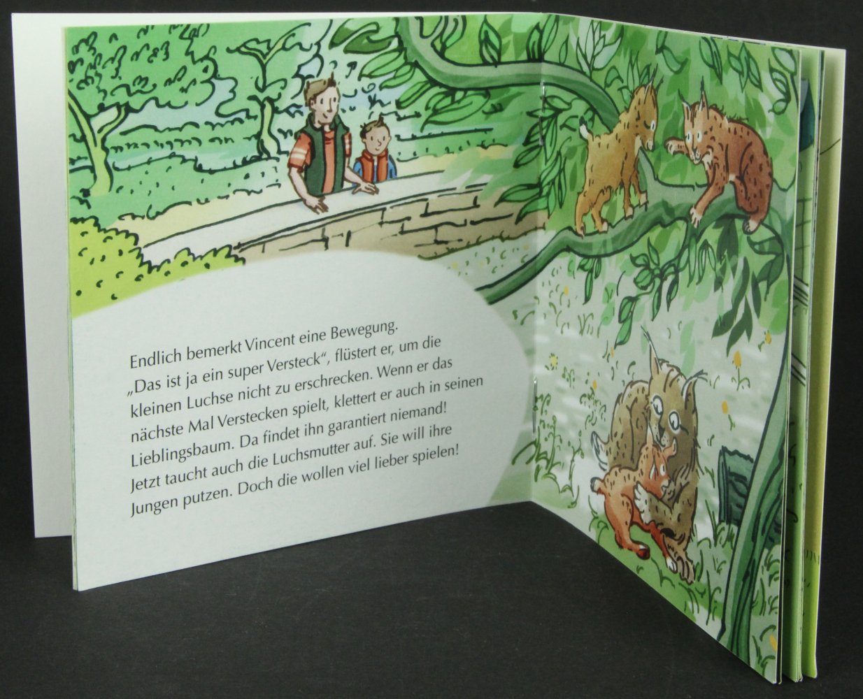 Pixi Buch Vincent und der Tag im Wildpark Kinderbuch klein Buch Kind Carlsen