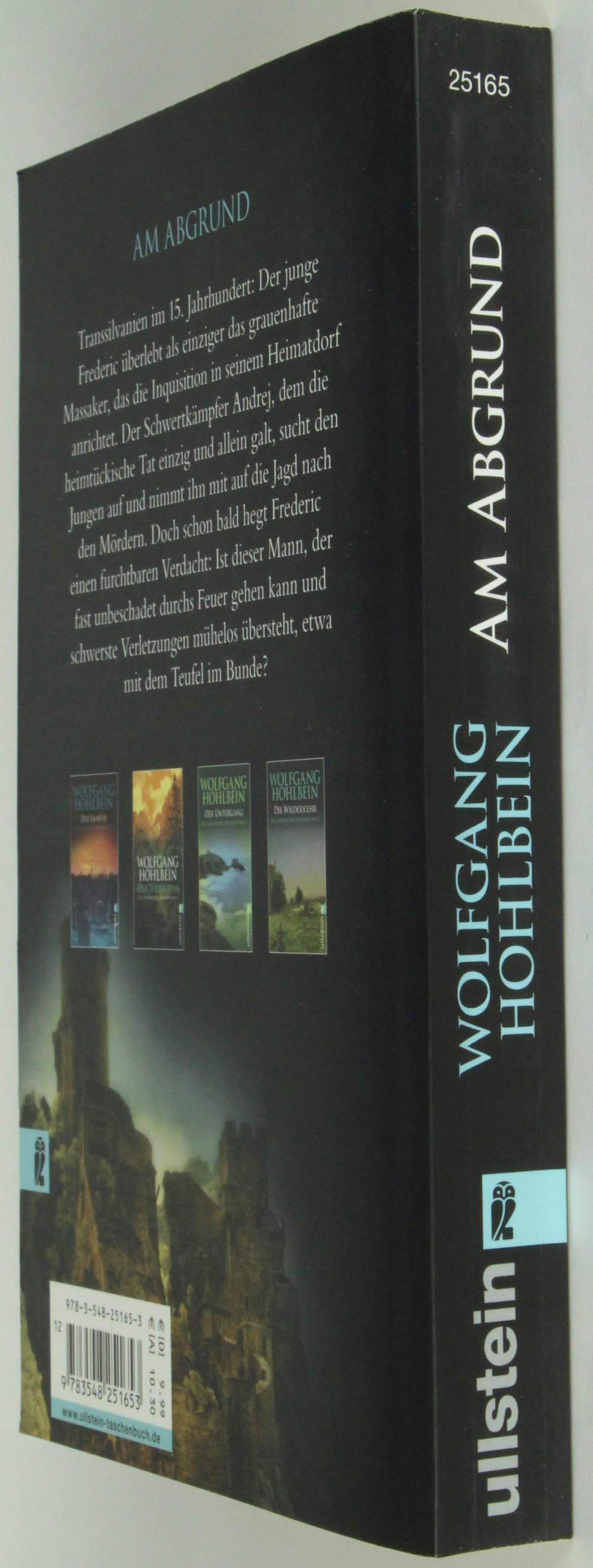 Taschenbuch Buch Roman Am Abgrund Wolfgang Hohlbein Krimi Thriller chronik