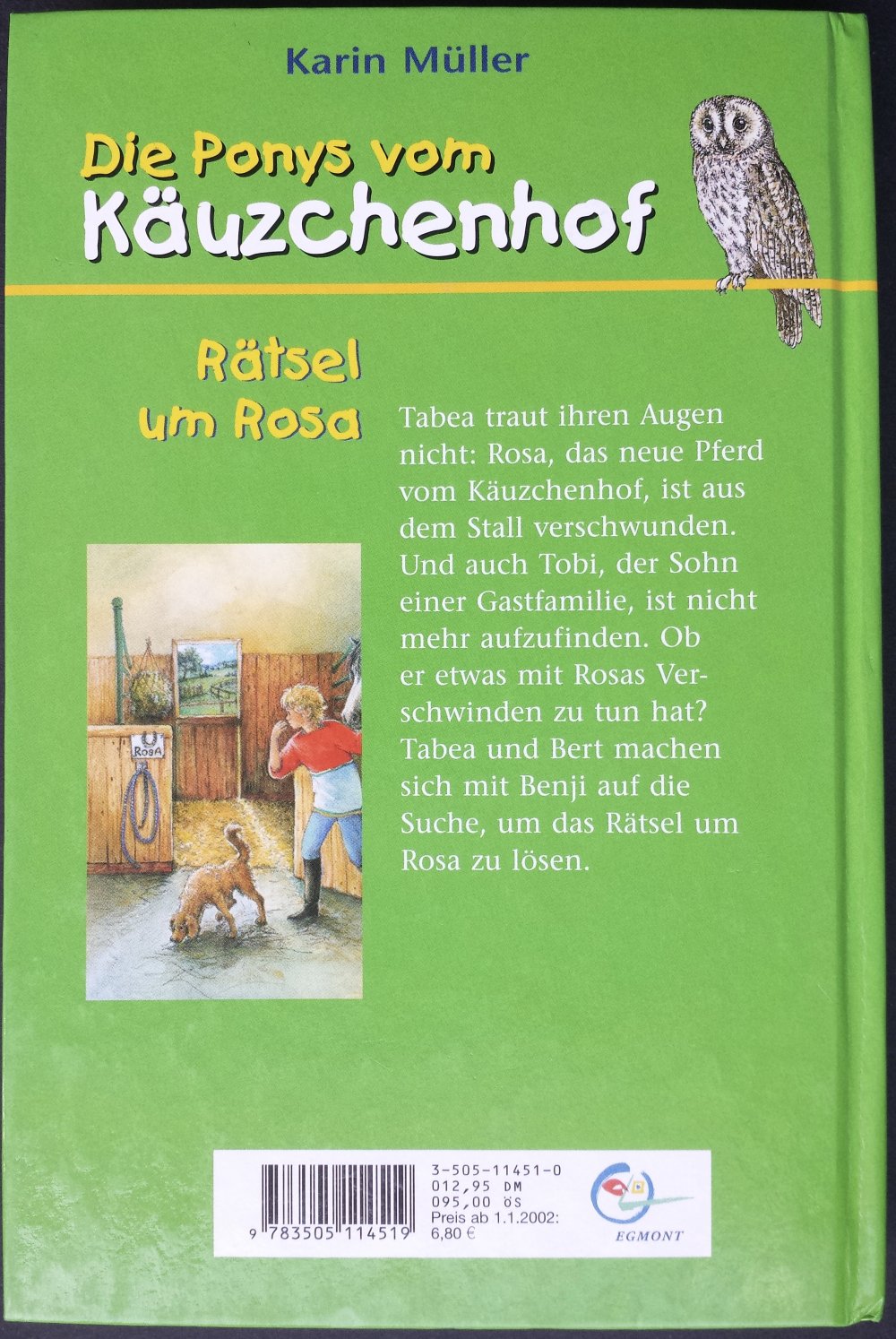 Kinderbuch Buch Kind Kinder Die Ponys vom Käutzchenhof Rätsel um Rosa Pferdebuch Pferd Pony