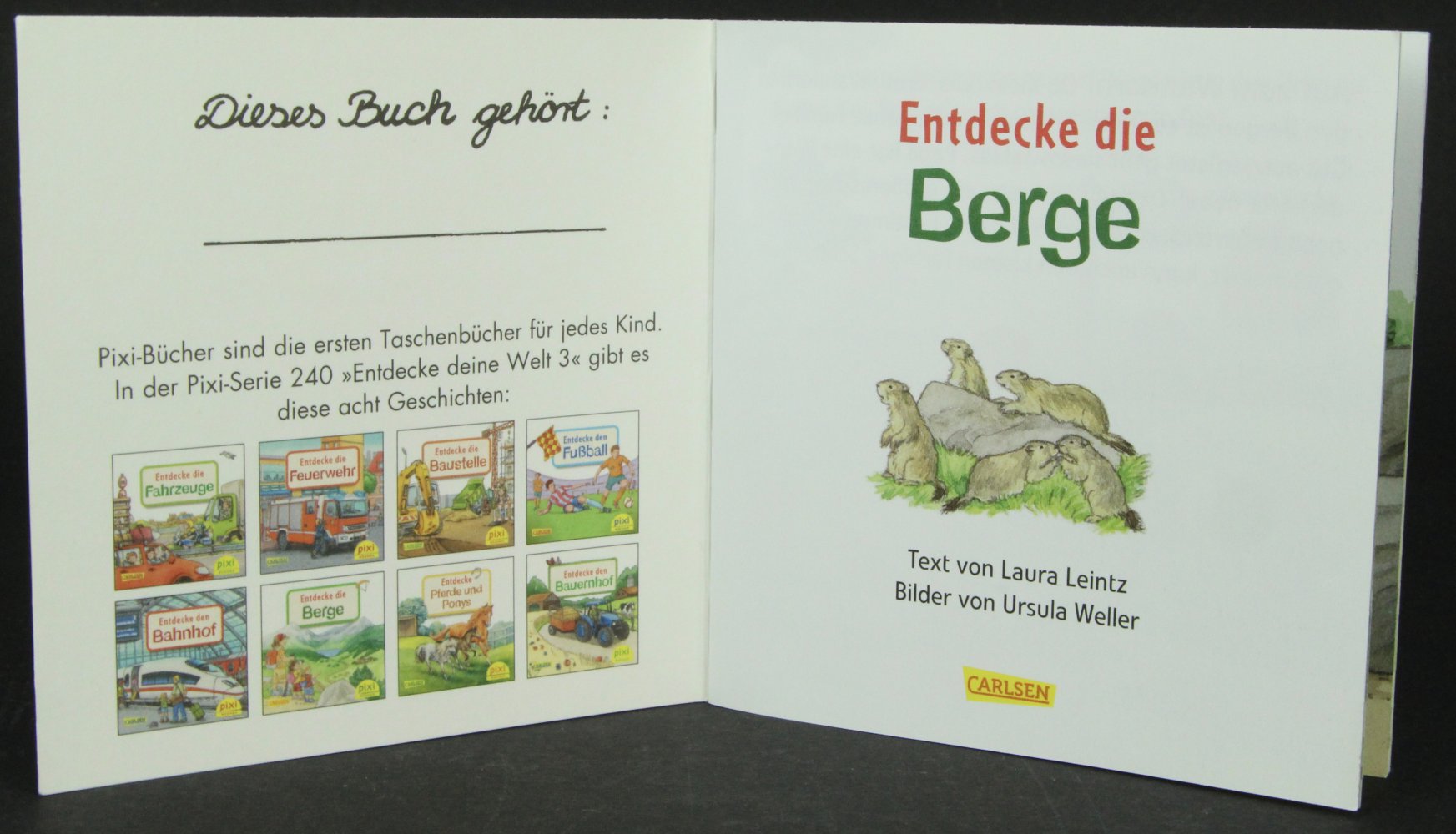 Pixi-Buch Entdecke die Berge Kinderbuch klein Buch Kind Baby Pixi Berg Vorlesen