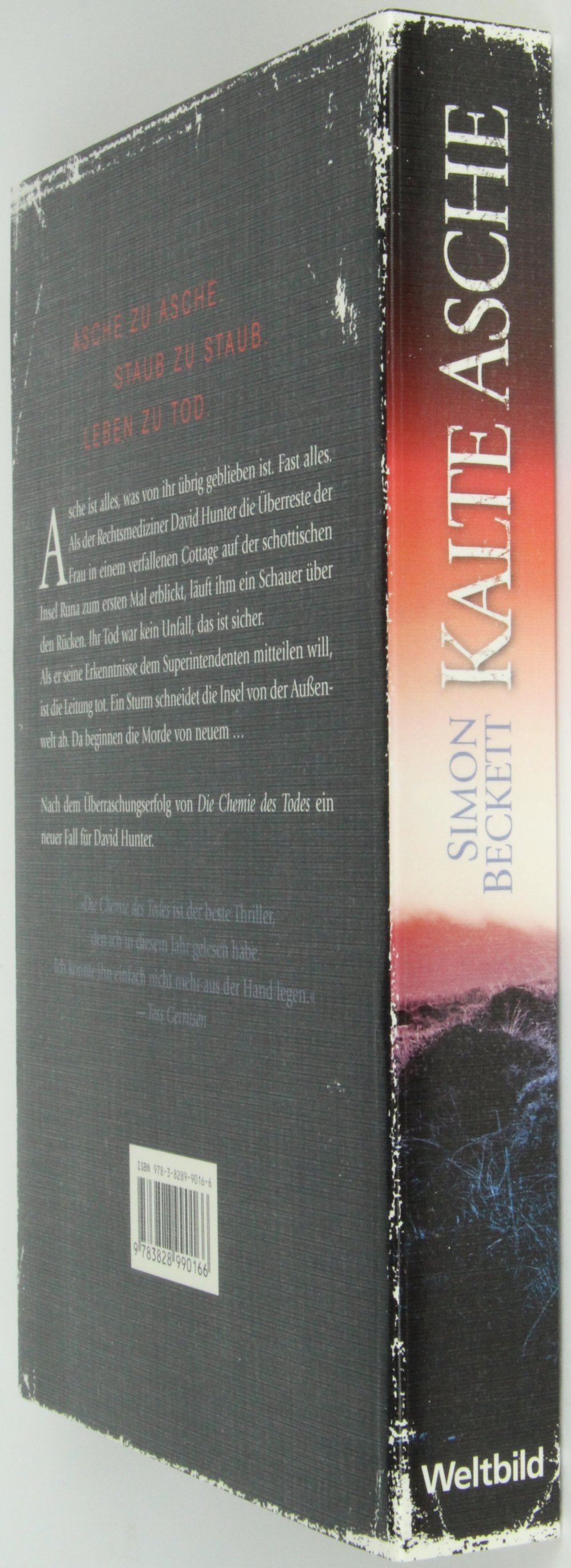 Taschenbuch Buch Roman Kalte Asche Simon Beckett Thriller Krimi TOP Weltbild