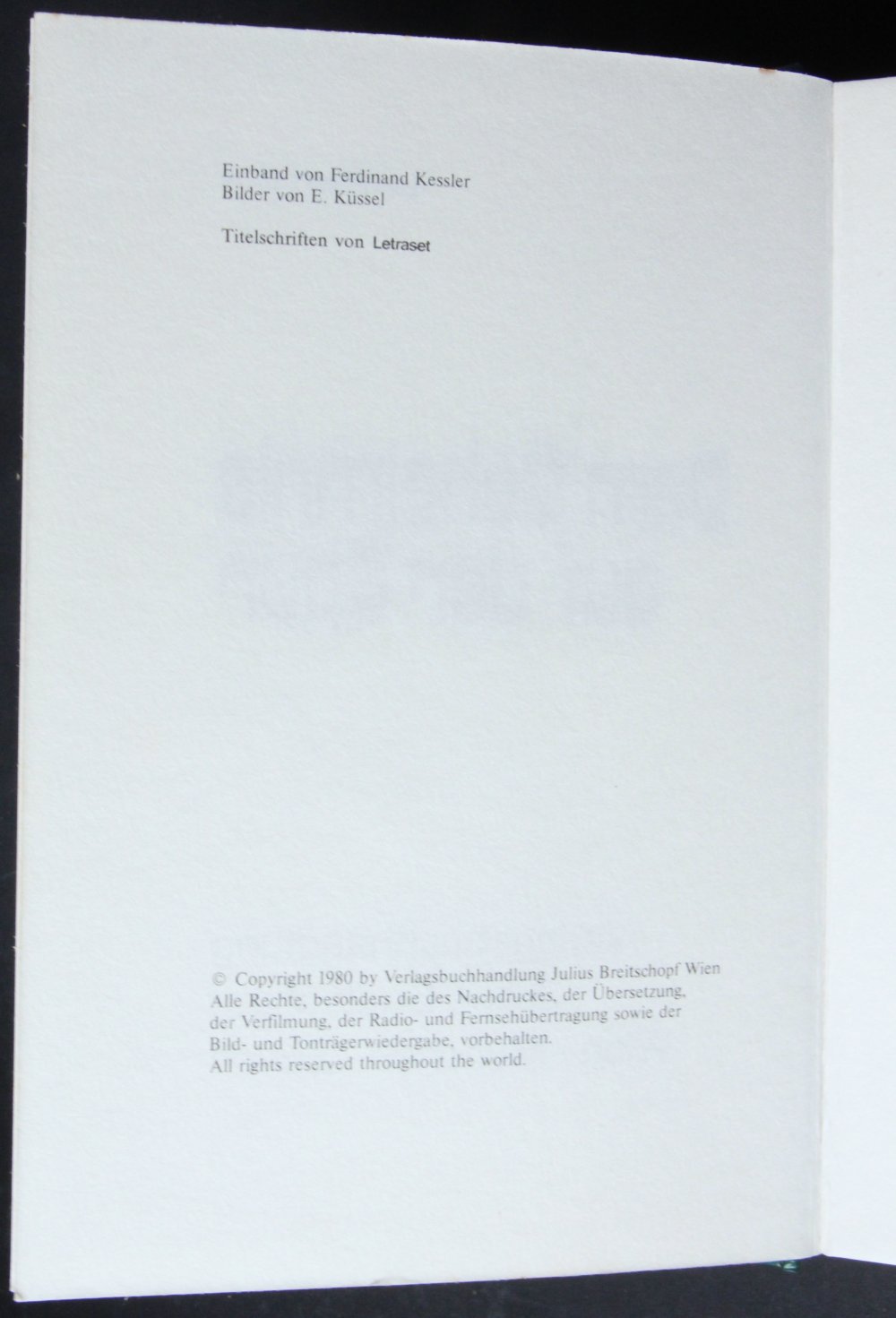 Jugendroman Dem Geheimnis auf der Spur Jugendbuch Breitschopf Jungend Roman Buch gebundene Ausgabe