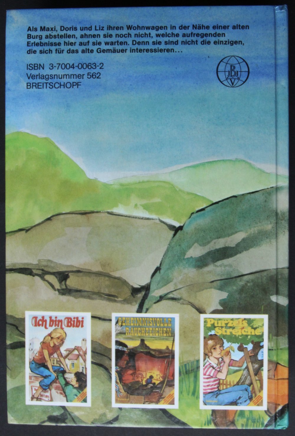 Jugendroman Dem Geheimnis auf der Spur Jugendbuch Breitschopf Jungend Roman Buch gebundene Ausgabe