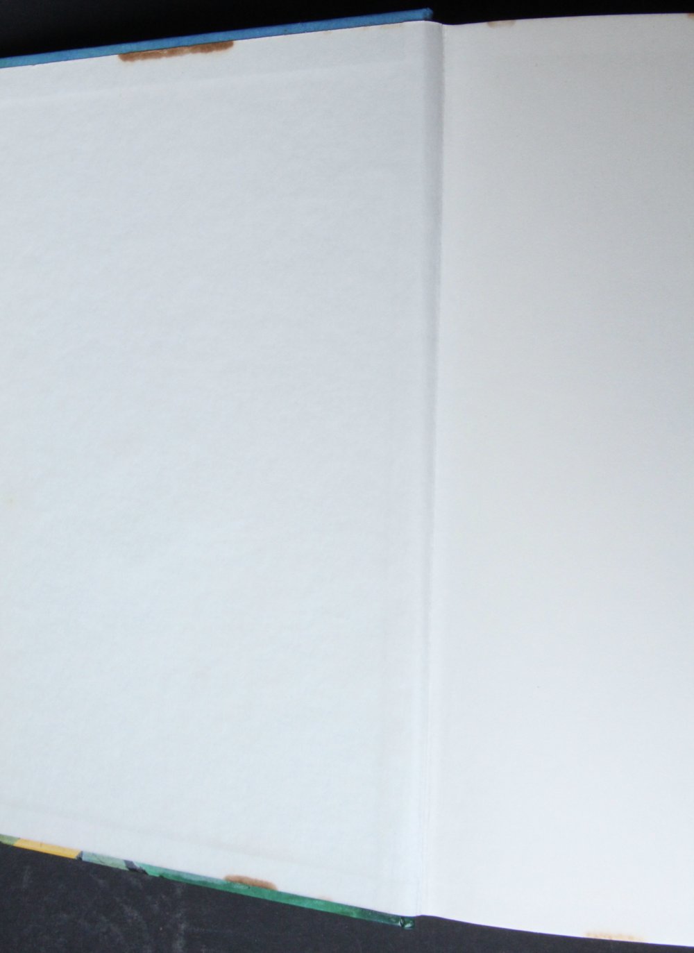 Jugendroman Dem Geheimnis auf der Spur Jugendbuch Breitschopf Jungend Roman Buch gebundene Ausgabe