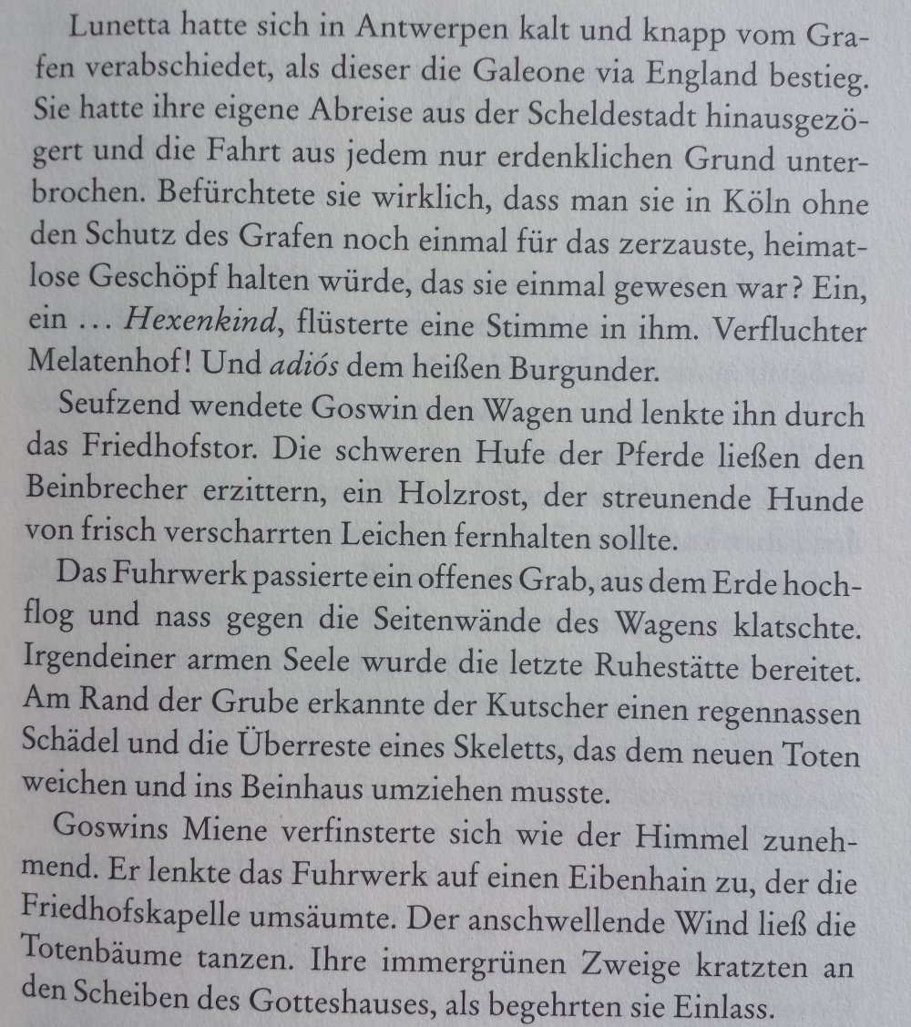 Taschenbuch Buch Das Geheimnis der Tarotspielerin Historischer Roman