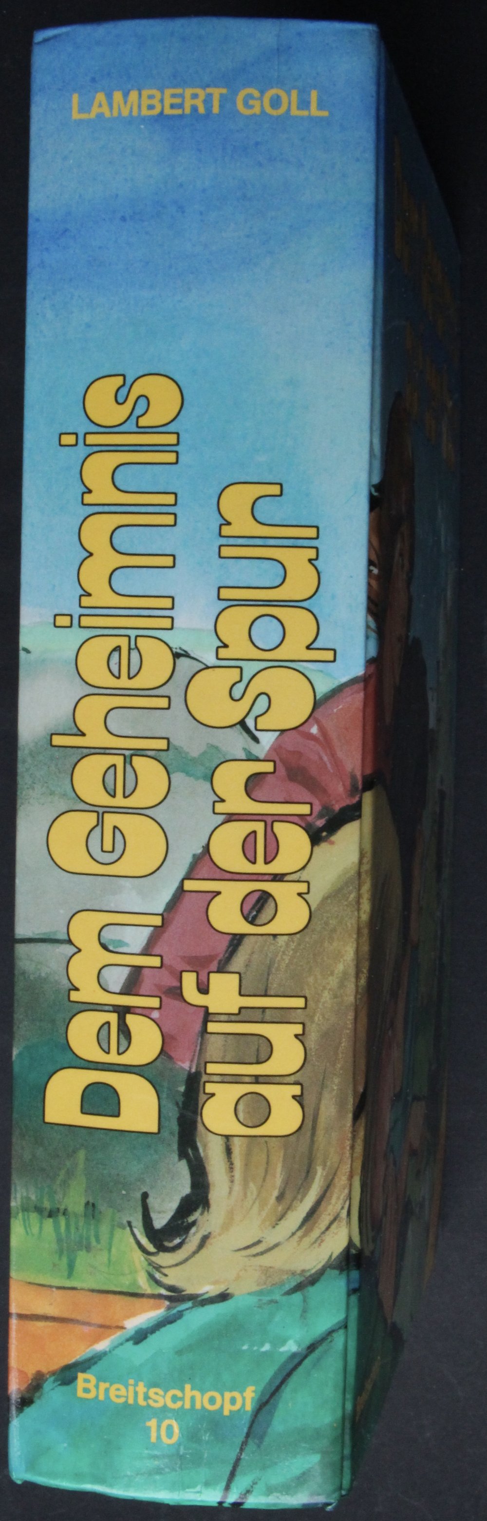 Jugendroman Dem Geheimnis auf der Spur Jugendbuch Breitschopf Jungend Roman Buch gebundene Ausgabe