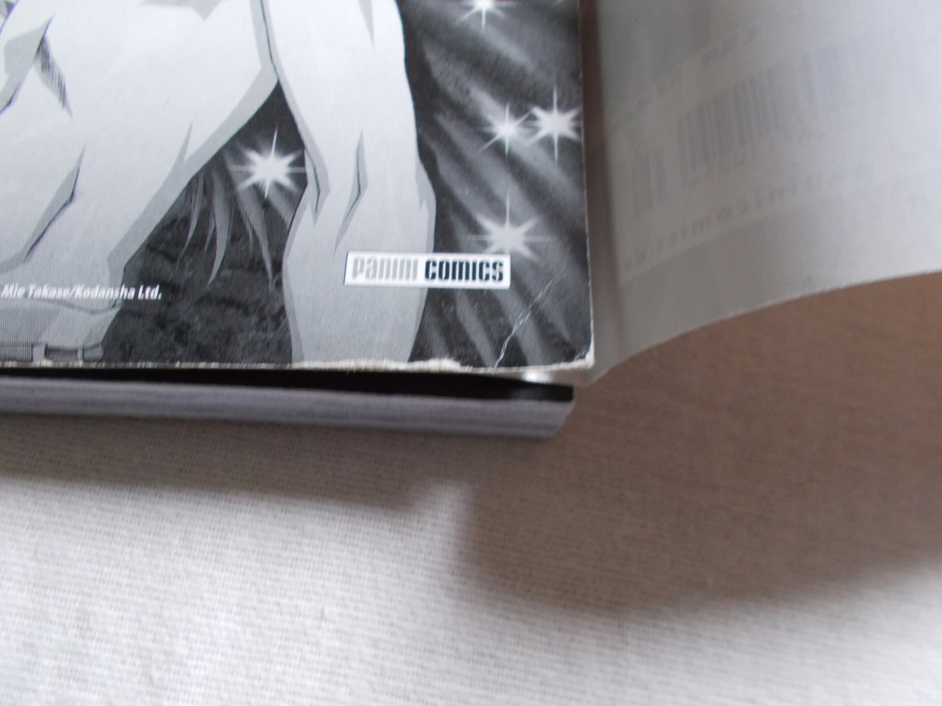 Manga Vampire Master