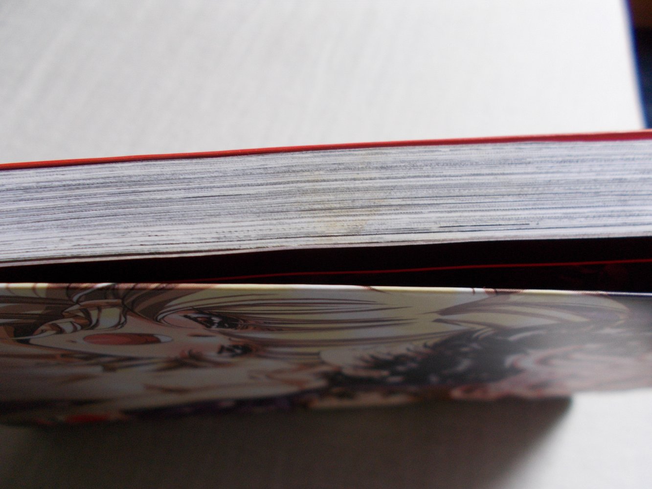 Manga Vampire Master