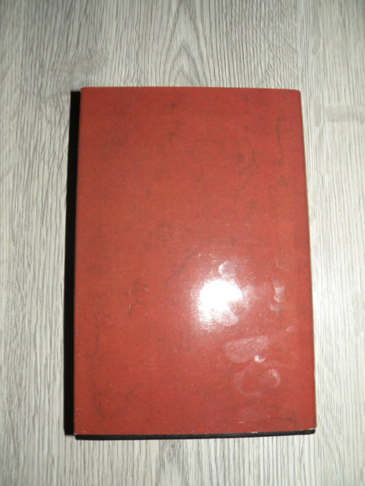 Buch Pfaffenspiegel Otto von Corvin Historische Denkmale Neuauflage von 1845
