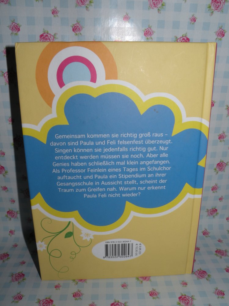 Buch Paula & Feli einfach unzertrennlich Martina Baumbach top Zustand wie neu