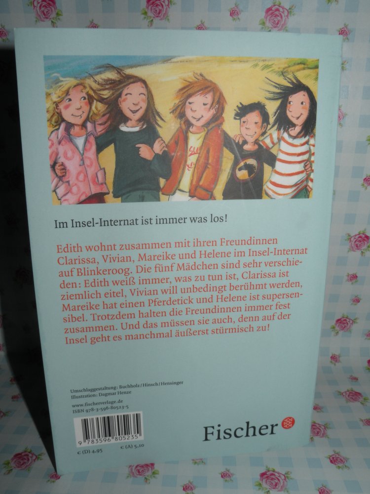 Buch Das Insel-Internat Fünf Mädchen legen los super Zustand 1x gelesen Schatzinsel