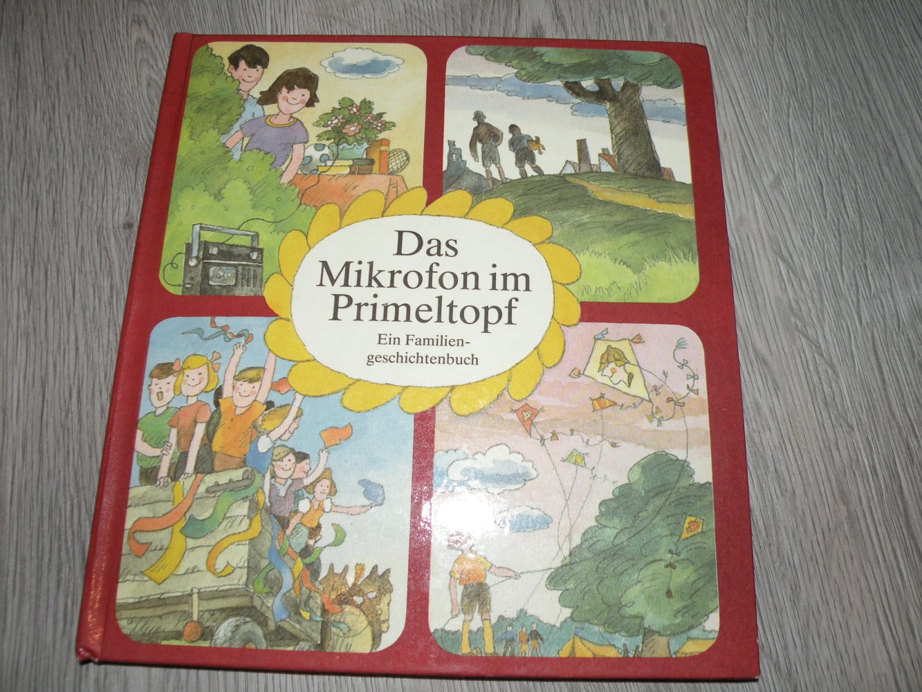 DDR Buch Retro Ostalgie Kinderbuch Das Mikrofon im Primeltopf Dachbodenfund top