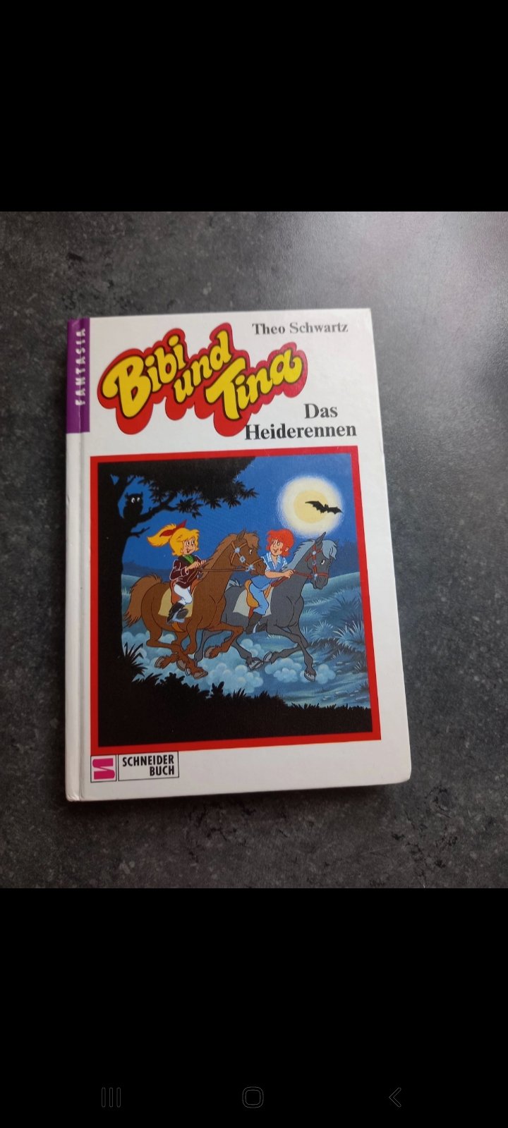 Bibi und Tina - Das Heiderennen