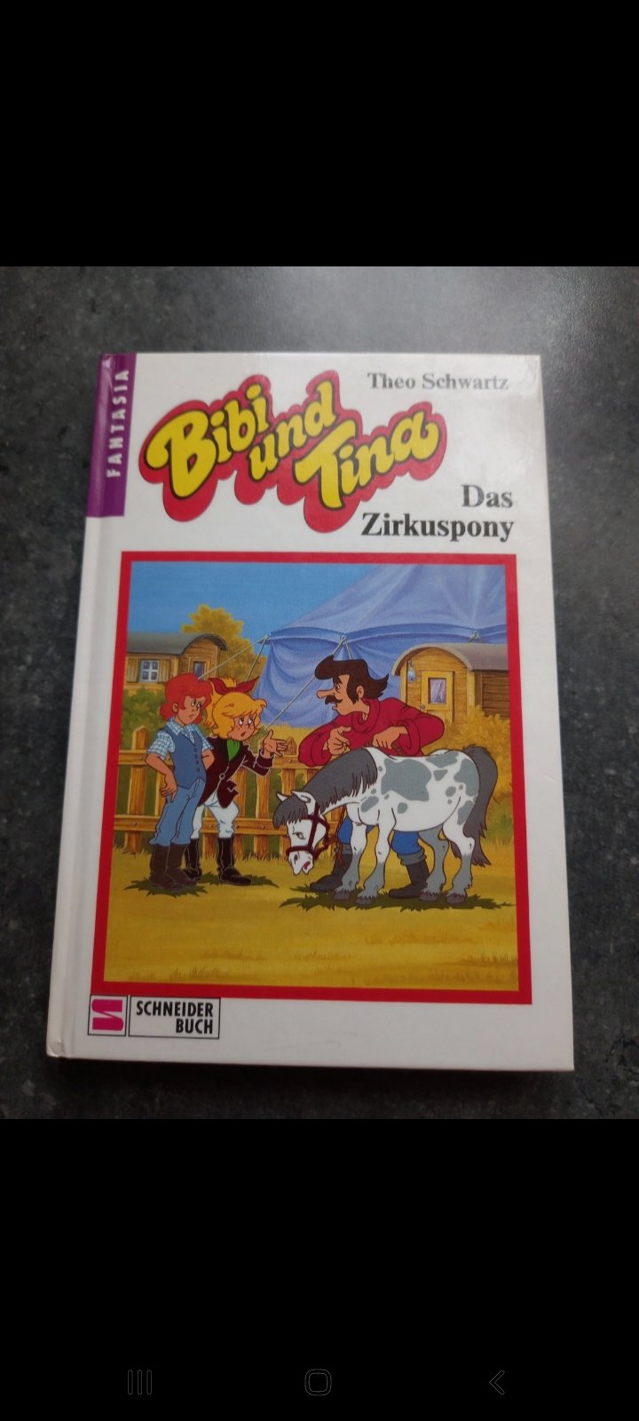 Bibi und Tina, Das Zirkuspony