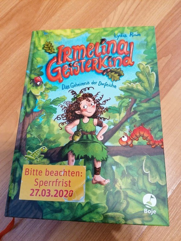 Irmelina Geisterkind - Das Geheimnis der Dorfeiche Buch