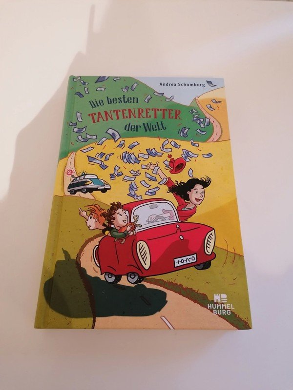 Die besten Tantenretter der Welt Gebundene Ausgabe