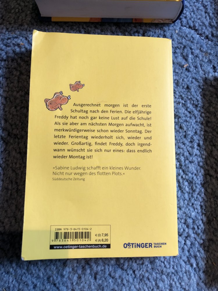 Der 7.Sonntag im August (Kinderbuch)