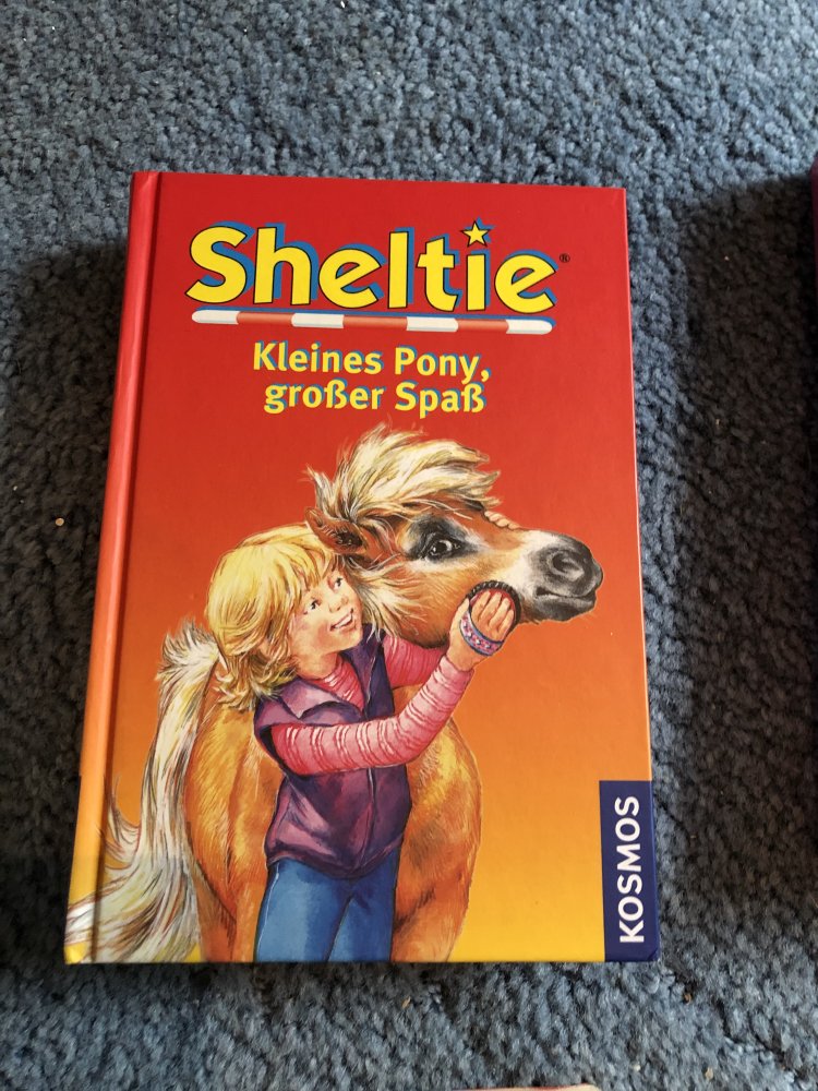 Sheltie (Pferdebuch)
