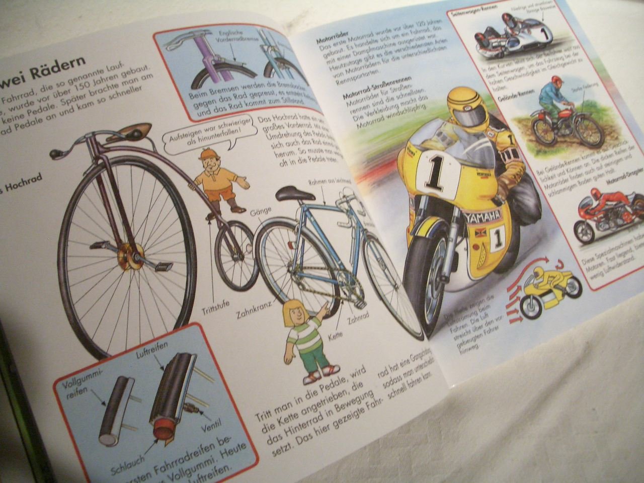 Alles was ich wissen will: Band 1 - Ravensburg -