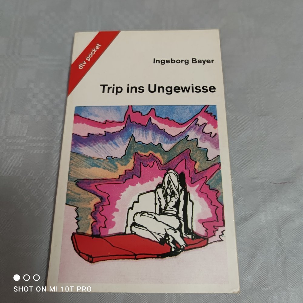 Trip ins Ungewisse - Ingeborg Bayer