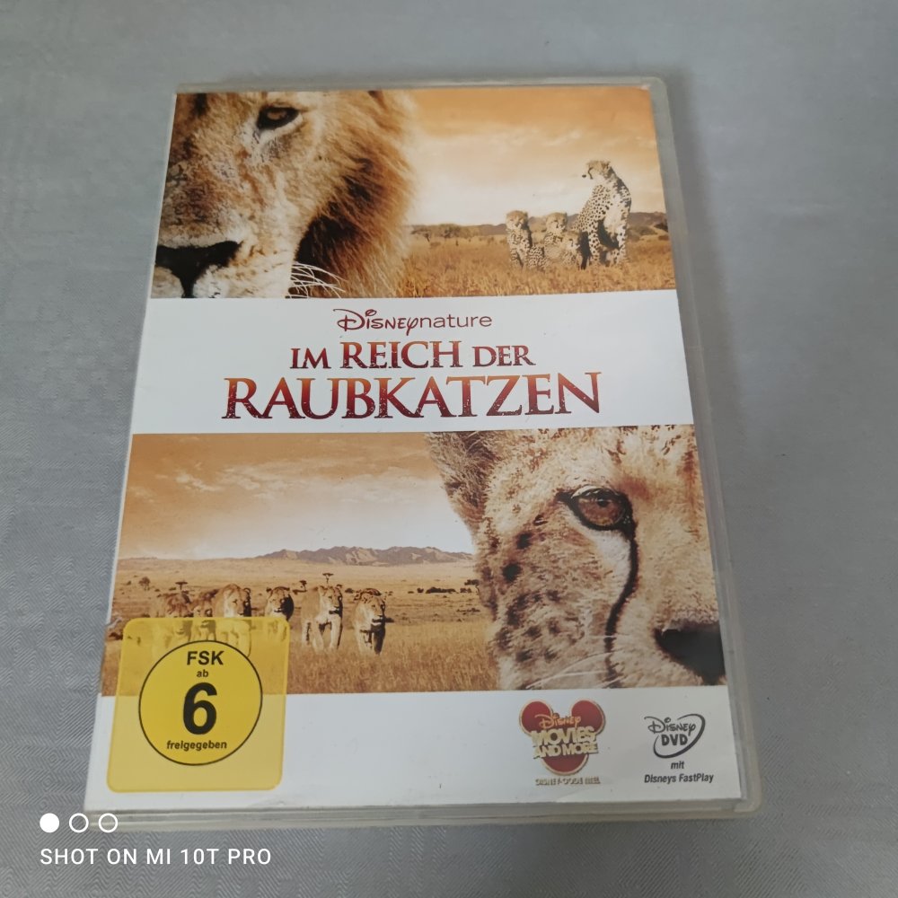 Im Reich der Raubkatzen