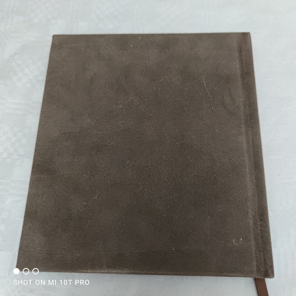 Wende Dein Gesicht der Sonne zu