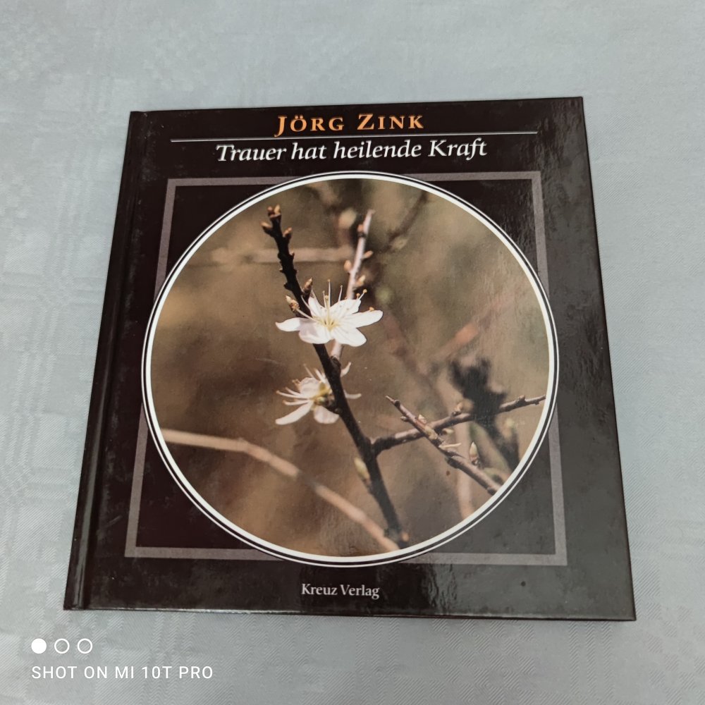 Trauer hat heilende Kraft - Jörg Zink