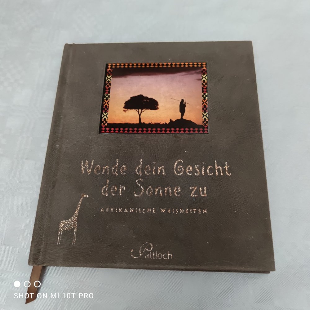 Wende Dein Gesicht der Sonne zu